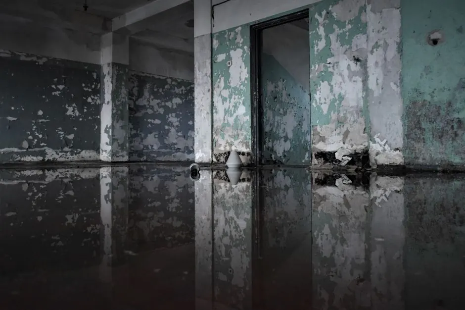 Flood Damage Restoration