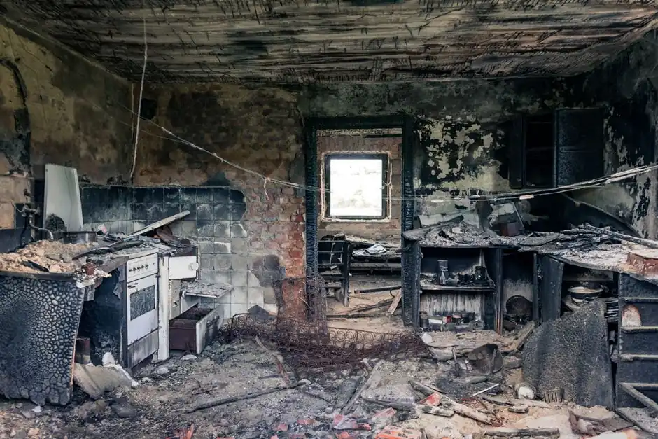Mold Remediation